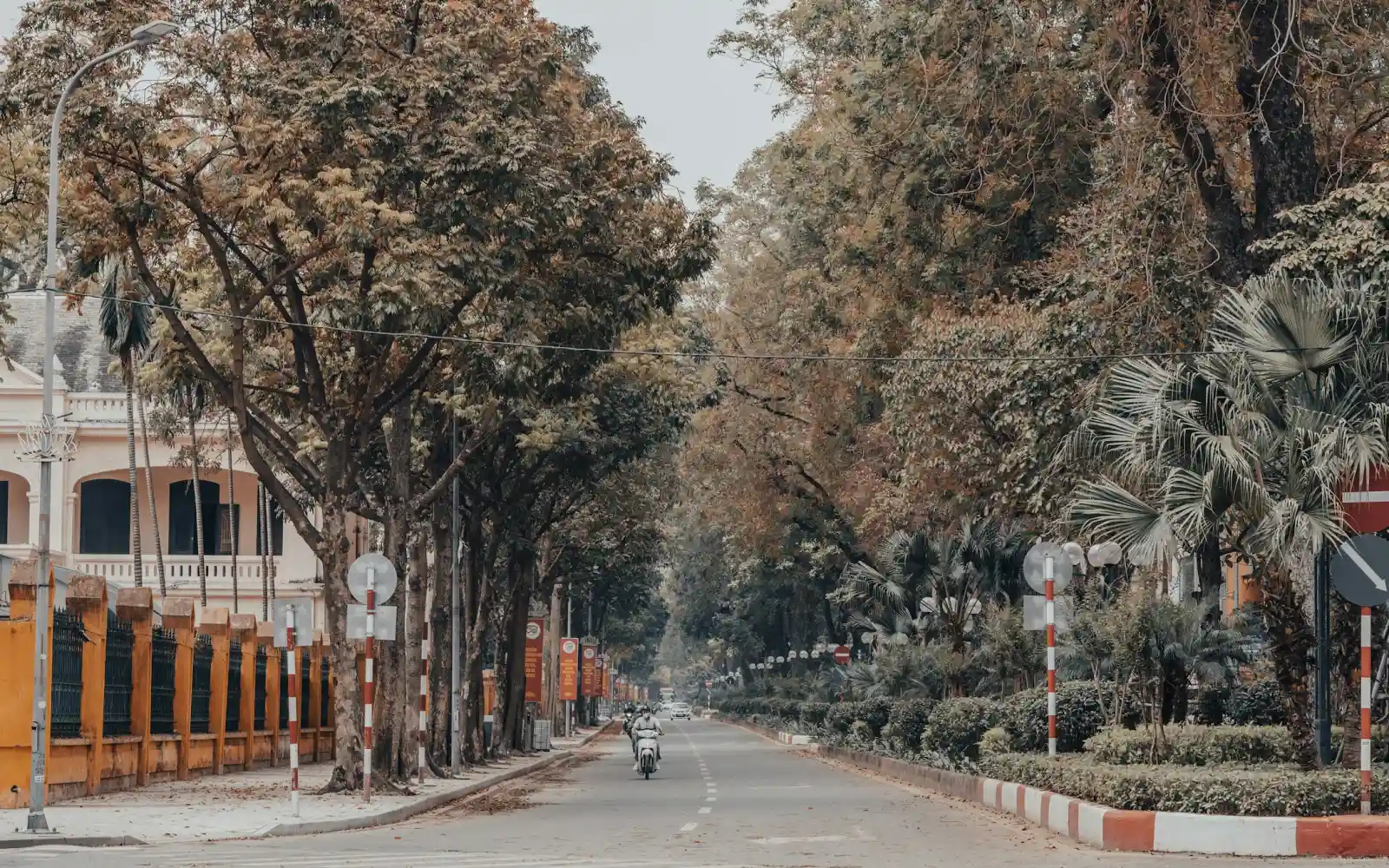 Đại lộ nhiều làn xe hướng về sân bay, hai bên trồng cây xanh, trời sáng